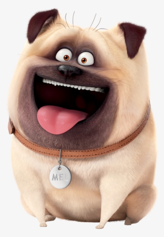 166 × 240 Pixels - Secret Life Of Pets Human Version #3571398