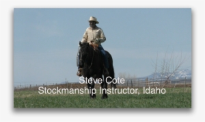 Steve And Susan Cote, June - Cattle Sense #3572230