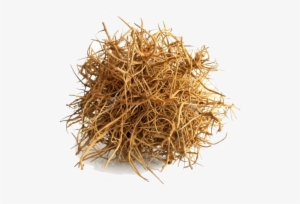 Tumbleweed On White Background #3572424
