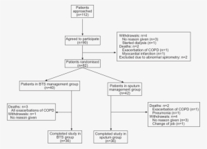 Chronic Obstructive Pulmonary Disease - British Thoracic Society Copd #3572870