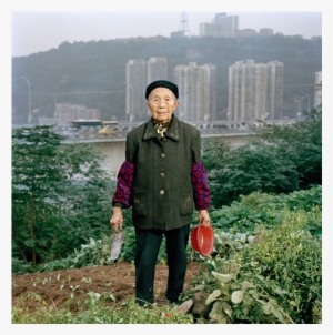 Zhong Baixin, Eighty-seven, Is Cultivating A Square - Chongqing #3573679