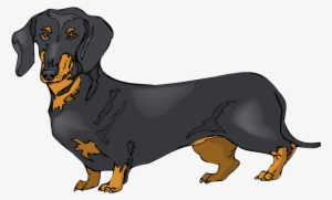 Clip Art Dachshund Dogs #3573902