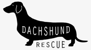Dachshund Rescue Transparent - Boat #3574129