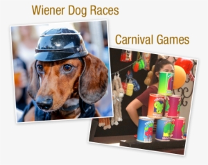 It's A Kiwanis Fundraiser And A Family Fun Day Filled - Scent Hound #3574317