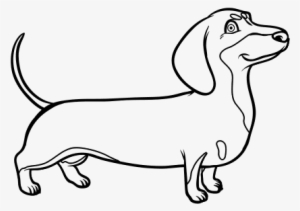 Perro Salchicha Para Pintar #3574607 Perro Salchicha Para Pintar #3574607