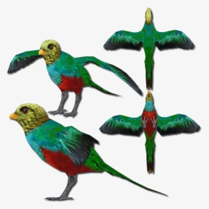 Golden-headed Quetzal V2 - Golden-headed Quetzal #3574968