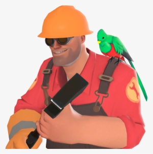 Engineer Quizzical Quetzal - Engineer #3575184