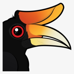 Redhead Rhinoceros Hornbill - Rhinoceros Hornbill Cartoon #3575904