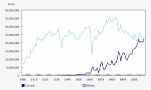 Chart1, From 1908 To - Wheat #3576058 Chart1, From 1908 To - Wheat #3576058