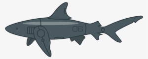 Image Is Not Available - Shark #3576081