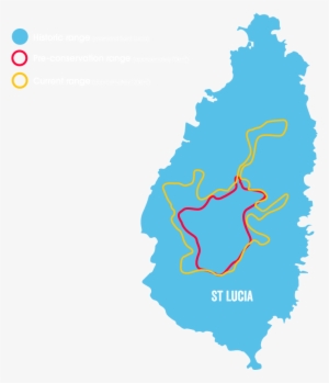 Range - St Lucia Island Flag #3576576