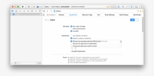 Art/3 Specifycontainers1 2x - No App Sandbox In Capabilities #3577540
