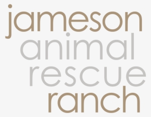 Jameson Rescue Ranch Competitors, Revenue And Employees - Cambridge English Teacher #3578434