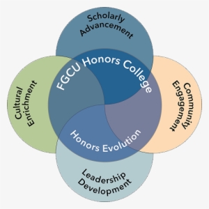 Experience Fgcu - Honour #3578677