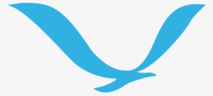 Free Vector Noaa Bird Clip Art - Flying Bird Logo Png #3580548