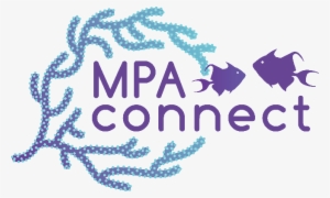 The Noaa-gcfi Partnership And Network Of Caribbean - Graphic Design #3581142