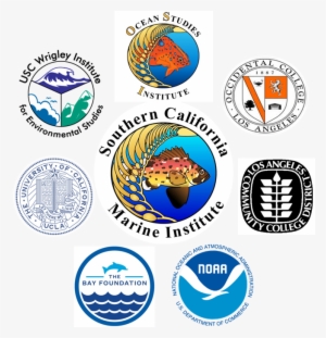 Scmi Is Located In The Heart Of The Port Of Los Angeles #3581194