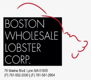 Sponsor #3581304