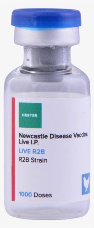 Live R2b 1000 - Portable Network Graphics #3582643