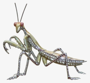 Boucher Rhinestone Enamel Praying Mantis Vintage Pin - Mantidae #3583437