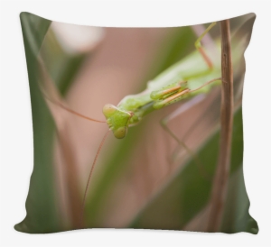 Stencils Prints On Pillow Cover #3583460