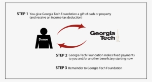 Charitable Gift Annuity Immediate Payment #3583549