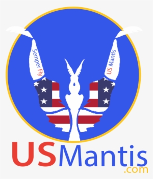 Mantis #3583762