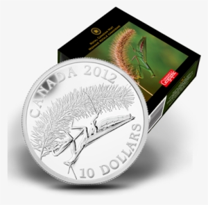 Flash - Silver #3583864