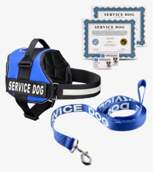 Industrial Puppy Service Dog Harness & Matching #3584048