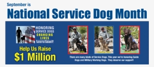 National Service Dog Month With Natural Balance - Service Tax Ready Reckoner 25th Edn 2015 #3584669