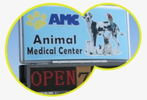 Welcome To Animal Medical Center - Group Of Pets #3584807
