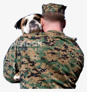 The Humane Society Of Harford County Inc - Veterans Seeing Their Family #3584810