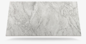 Natural Collection - “ - Sketch #3584831