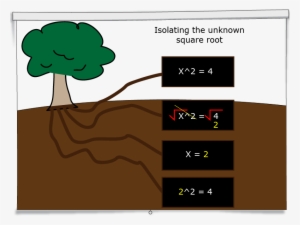 Solving For An Unknown In Squares & Square Root Problems - Water #3584919
