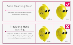 Cleansing Coparision - Insect #3585545
