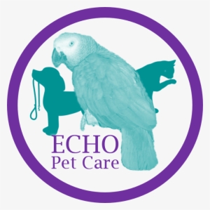 Echo Logo Png - Parakeet #3585587