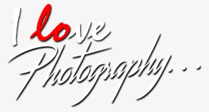 Calligraphy #3588428