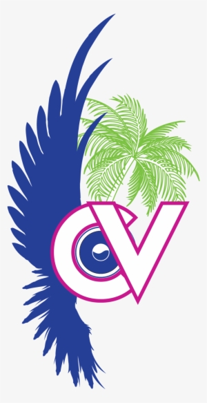 Carnival Virgin Logo-01 - Vector #3588871