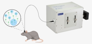 Oasis-implant Small Diagram V2 Updated - Rat #3589432