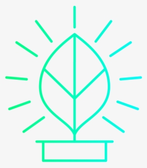 Origin Of Innovation, Was Ist Der Ursprung Von Innovation - Releaf Pharmaceuticals #3589874