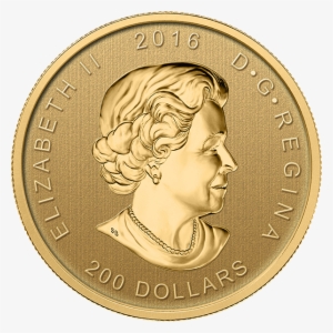 2016 "roaring Grizzly" Canadian Gold Coin #3591129