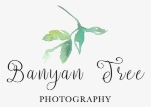 Banyan #3591733