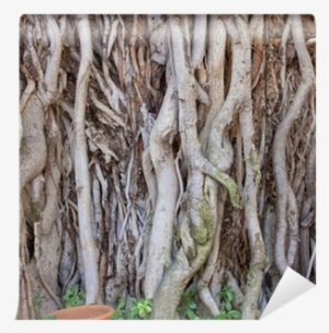 Banyan Tree At A Roadside In Rajasthan - Istock #3591896