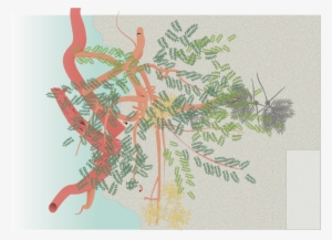 Section Plans Of The Site - Illustration #3592008