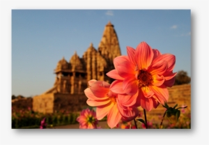 I Always Wanted To Visit Khajuraho - Dahlia #3592647