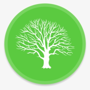 Macfamilytree Icon - Icone Arvore Png #3592892