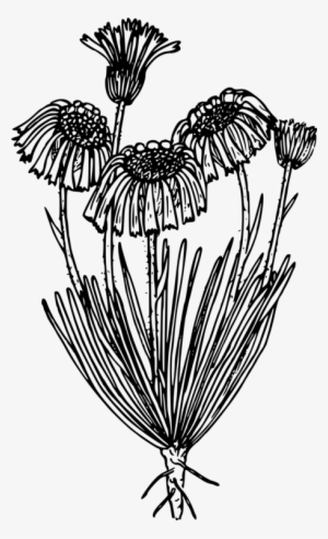 Computer Icons Black And White Symbol Flower - Icon #3593426