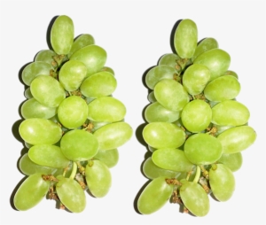 Bunch Of Grapes Large Png File - Grape #3596350