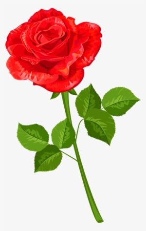 Rose Png - Ross Flower Png #3596456