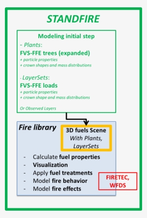 General Objectives - Penguin #3597977